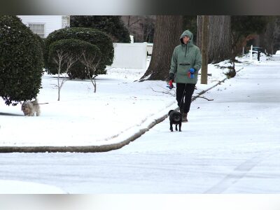 ‘It’s awesome’: Wilson gets another taste of winter